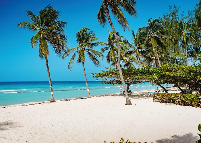 Beach Hotels Coconut Court Beach